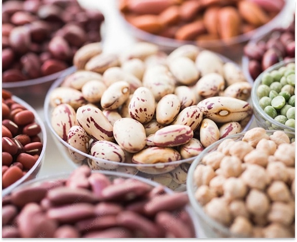 Vegetable protein